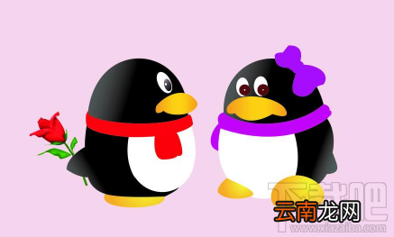 QQ坦白说查看对方身份方法详解