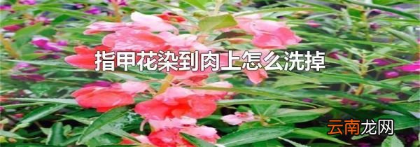 指甲花染到肉上怎么洗掉
