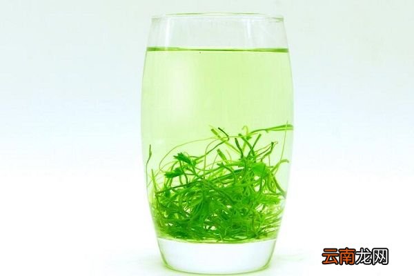 纹股蓝的功效与作用 纹股蓝具有什么作用