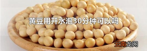 黄豆用开水泡30分钟可以吗