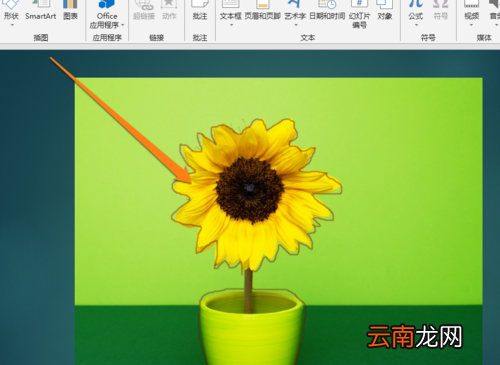 PPT中自由曲线描绘图形轮廓具体操作步骤