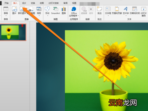 PPT中自由曲线描绘图形轮廓具体操作步骤