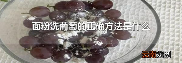 面粉洗葡萄的正确方法是什么