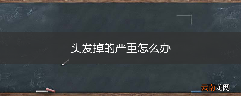 头发掉的严重怎么办