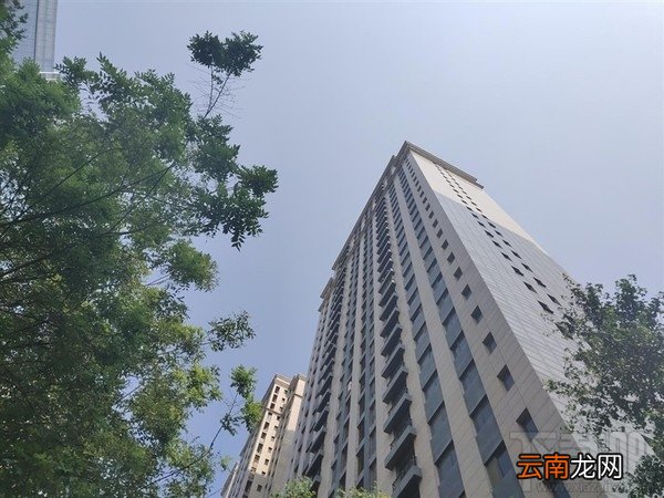 vivoNEX怎么样，好不好，值得买吗