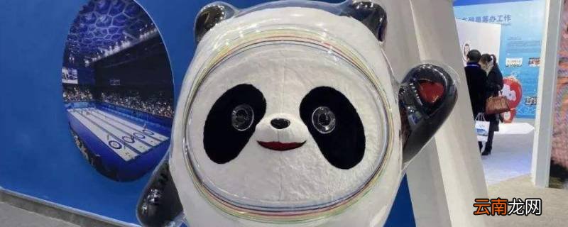 冰墩墩的来历是什么