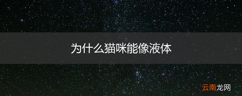 为什么猫咪能像液体