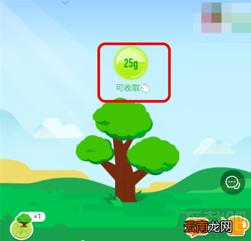 支付宝蚂蚁森林能量值隐藏教程