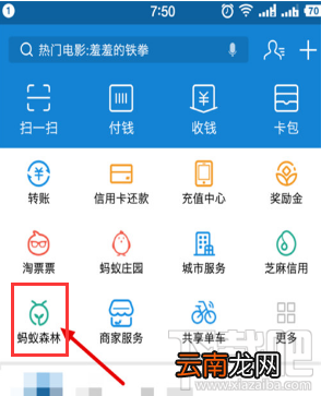 支付宝蚂蚁森林能量值隐藏教程