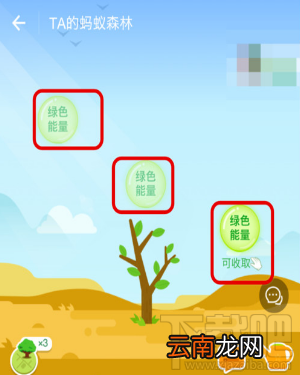 支付宝蚂蚁森林能量值隐藏教程
