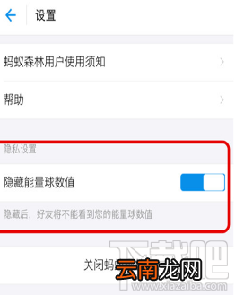 支付宝蚂蚁森林能量值隐藏教程