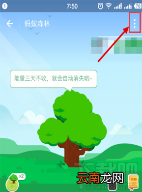 支付宝蚂蚁森林能量值隐藏教程