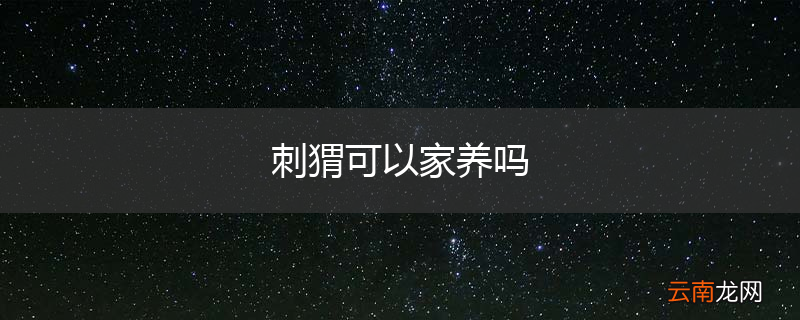 刺猬可以家养吗