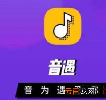 音遇app设置动态头像具体操作步骤