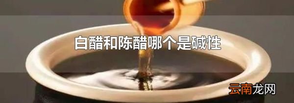 白醋和陈醋哪个是碱性