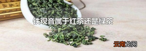 铁观音属于红茶还是绿茶