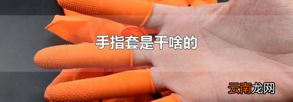 手指套是干啥的