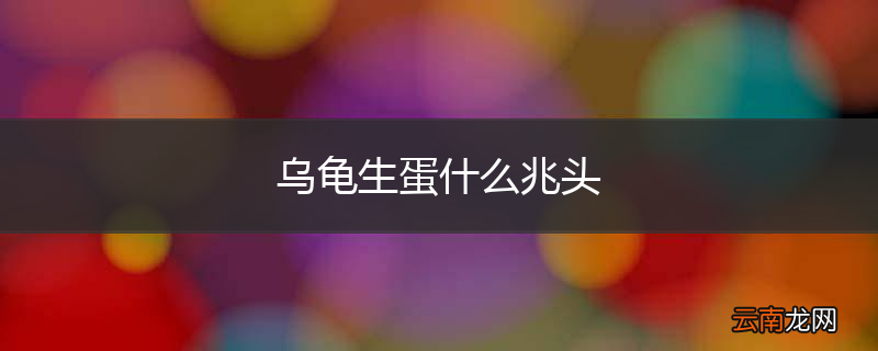 乌龟生蛋什么兆头