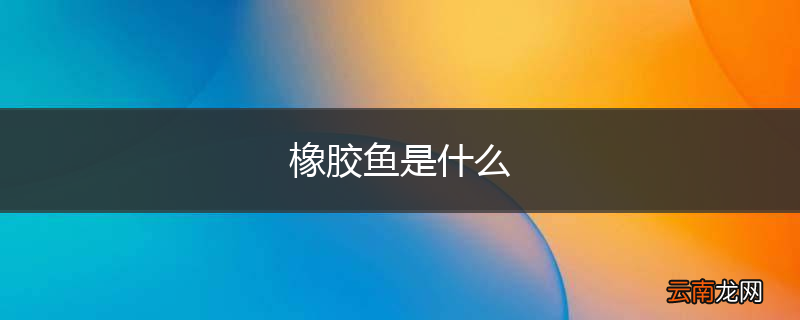 橡胶鱼是什么