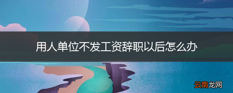 用人单位不发工资辞职以后怎么办