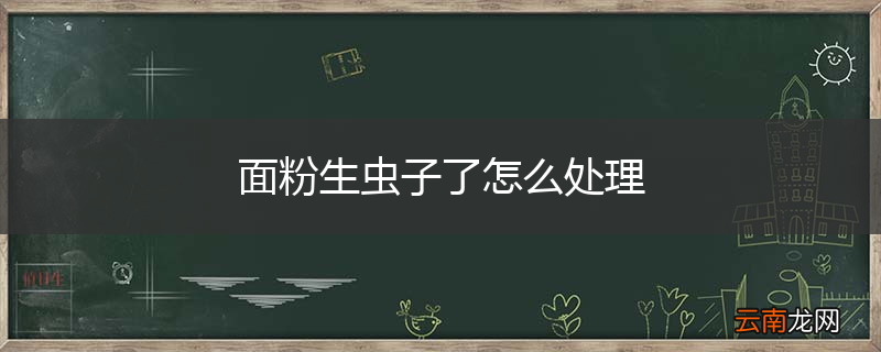 面粉生虫子了怎么处理