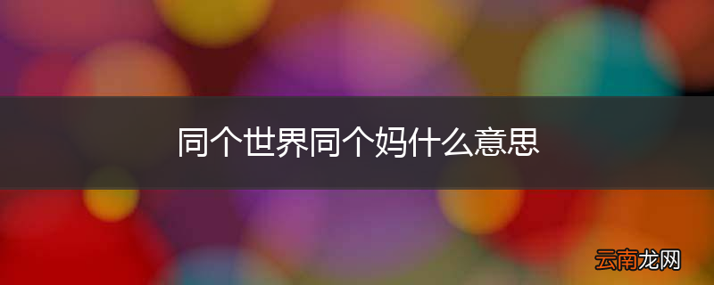 同个世界同个妈什么意思