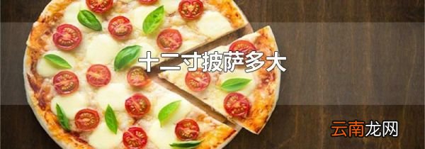 十二寸披萨多大