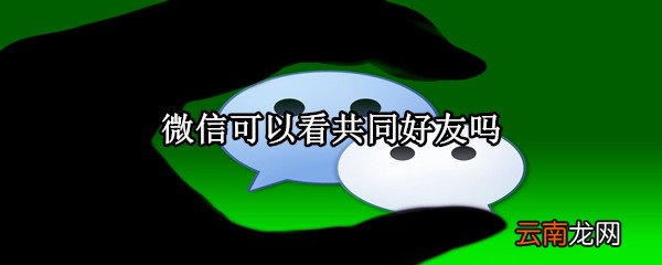 微信可以看共同好友吗