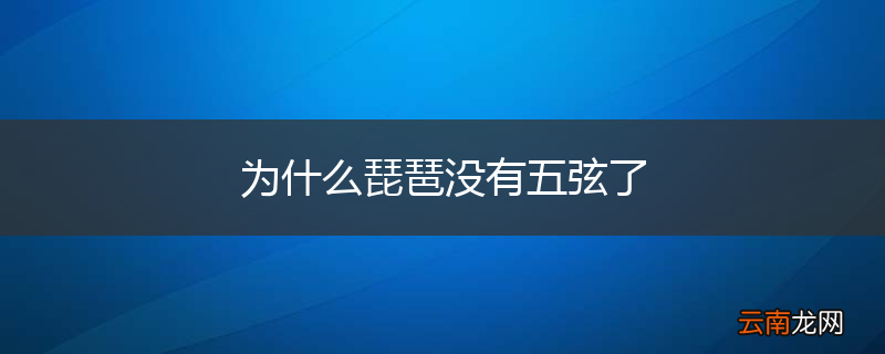 为什么琵琶没有五弦了