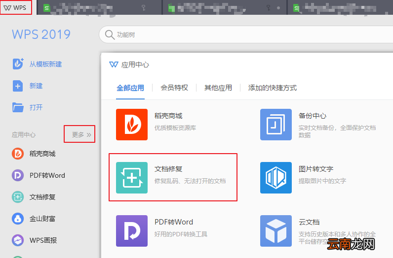 WPS打开文件时遇到错误怎么办