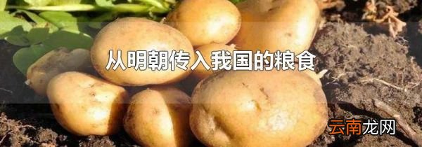 从明朝传入我国的粮食