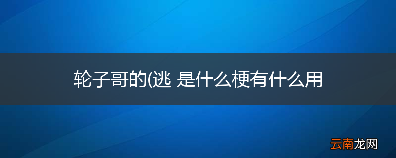 轮子哥的(逃 是什么梗有什么用