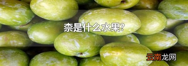 柰是什么水果?