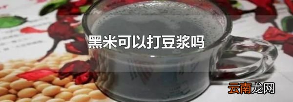 黑米可以打豆浆吗