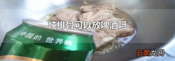 炖排骨可以放啤酒吗