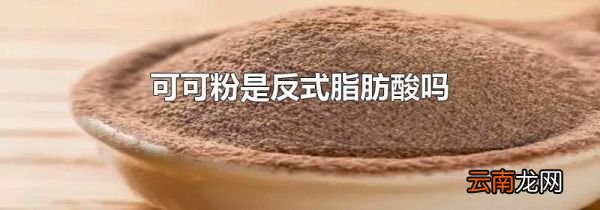 可可粉是反式脂肪酸吗