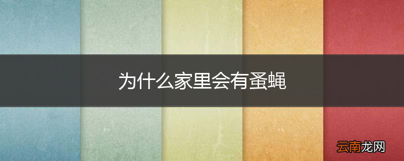为什么家里会有蚤蝇