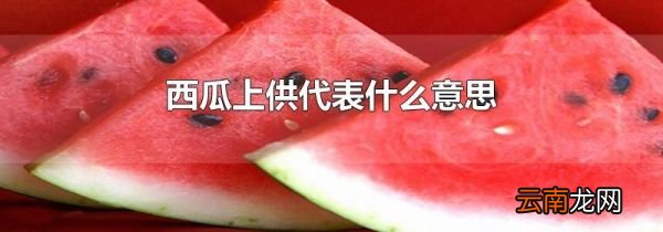 西瓜上供代表什么意思