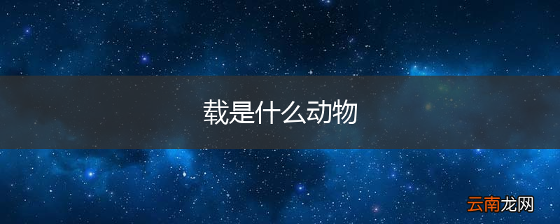 载是什么动物