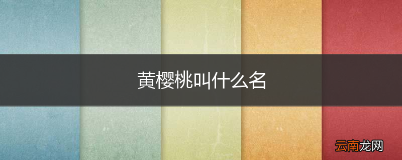 黄樱桃叫什么名