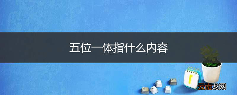 五位一体指什么内容