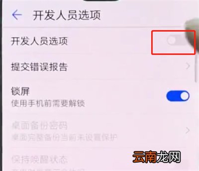 华为p20pro中打开开发者选项的简单方法