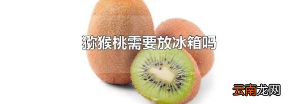 猕猴桃需要放冰箱吗