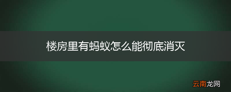 楼房里有蚂蚁怎么能彻底消灭