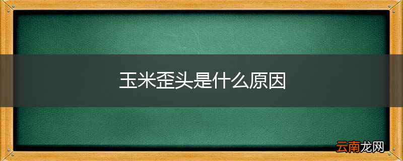 玉米歪头是什么原因