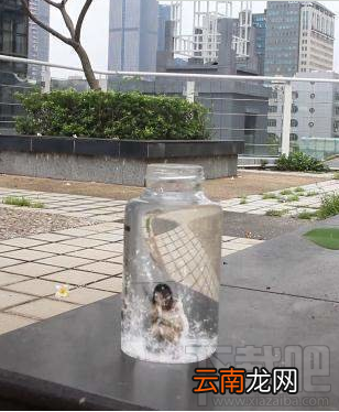 抖音人跳进瓶子里视频制作方法介绍