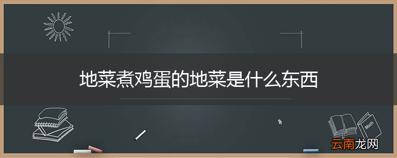 地菜煮鸡蛋的地菜是什么东西