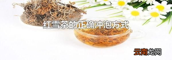红雪茶的正确冲泡方式