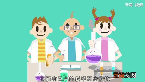 化石是怎么形成的怎么能形成化石