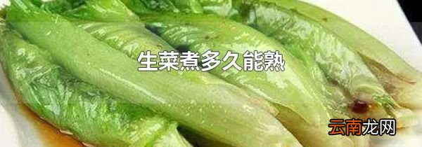 生菜煮多久能熟